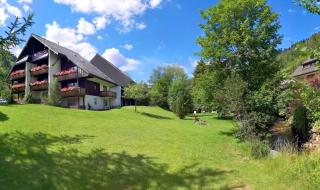 Naturidyll am Fluß - Ferienhaus Albmatte - großer Garten zum grillen und entspannen-direkt neben dem Radon Revitalbad mit Sauna und Thermalbecken - St. Blasien - 0