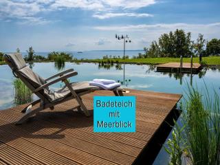 Ferienwohnungen Villa Nause mit Sauna, Fitness, Naturteich, Parkplatz, Spielplatz und direkten Meerblick - Sassnitz - 0