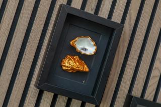 Vakantiewoning aan het water 'Oester Oase' - met 2 balkons - Vista Maris - Nr 36 - Sint Annaland - 1