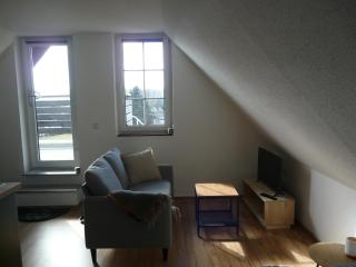 Landhaus am Bärenstein Pano-Blick 2 - Bärenstein - 6