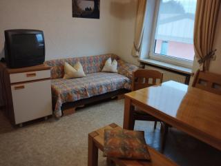 Ferienwohnung Bei Waldmünchen Mit Wald Und Wiesenumgebung - Waldmünchen - 7