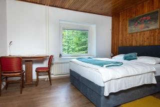 House Angelca - Hočko Pohorje - 2