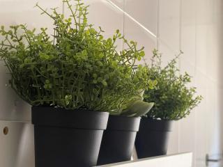 Apartamento Enol - 9