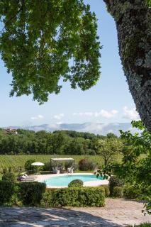 Villa Bella Lisa Pool & Jacuzzi EXCLUSIVE USE - Cavriglia - 6