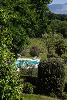 Villa Bella Lisa - Cavriglia - 6