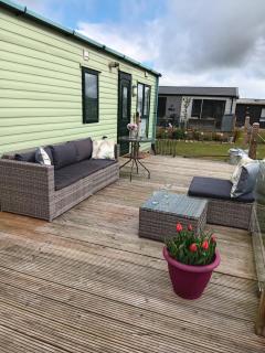 Foxgloves and Ivy - 8