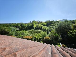 Hotel Aldori Landetxea - Reserva de la Biosfera Urdaibai - Adults Only - Muxika - 5
