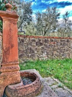 Casa degli Ulivi - Monte San Savino - 9