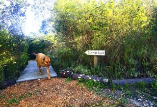 Sunny's Spot Camp Site - Vosburg - 7
