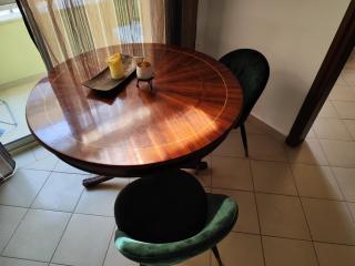 Rabbit - Durazzo - 7