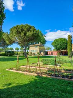 La Mouline Domaine privé pour séjour en famille ou entre amis en toute intimité - Pézenas - 4