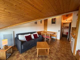 Les Saisies - Grand Studio Cabine 4 pers avec balcon sud - FR-1-293-117 - Les Saisies - 0
