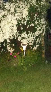 Schöne Aussicht - 1