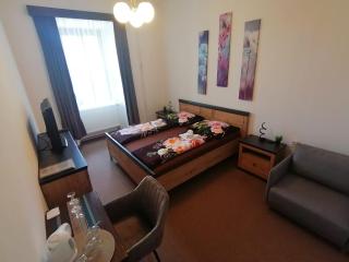 Hotel Stará škola na Šumavě - Hořice na Šumavě - 1