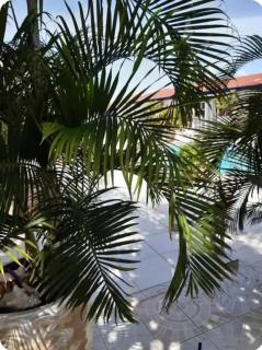 Chez Lilly - Oranjestad - 0