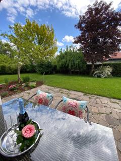 Schwanennest am Chiemsee - 2