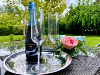 Schwanennest am Chiemsee - 1