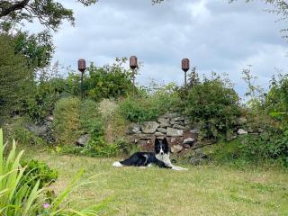 3 Bed in Portreath 87649 - Illogan - 8