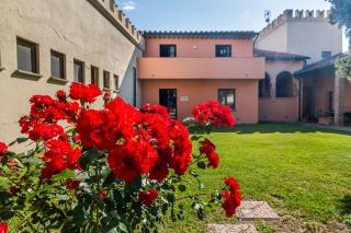 Borgo la Contessa - Campiglia Marittima - 6