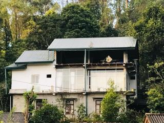 Ella Jackshade - Ella - 2