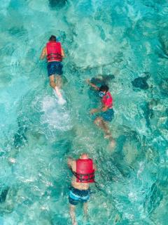 El Cozumeleño Beach Resort - All Inclusive - Cozumel - 6