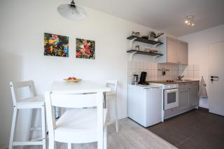 Helles City Apartment mit Parkplatz, ruhig und zentrumsnah - Magdeburgo - 4
