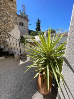 Le Loft - Sainte Anastasie - Aubarne - 8