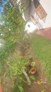 Bulan Villa - Hikkaduwa - 4