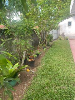 Bulan Villa - Hikkaduwa - 1
