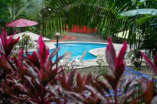 Selva Color - Forest & Beach EcoLodge - 9