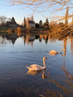 Riverside Retreat - Badefols-sur-Dordogne - 2