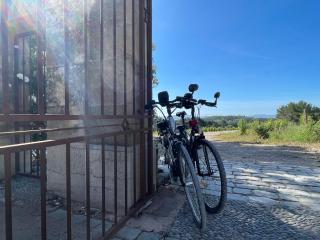 Aux romarins - Les Arcs-sur-Argens - 2