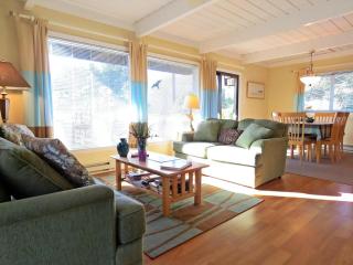 Lily Pad Lake Views - Cape May Point - 1