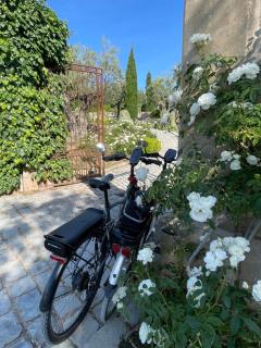 Aux romarins - Les Arcs-sur-Argens - 3