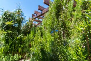 Apartments Delfin - 1