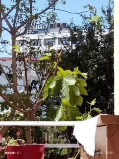 Studio apartment for rent, Mali i Robit, Golem - Golem - 3