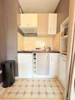 Biarritz Centre Jardin Public et Gare du Midi - Biarritz - 7