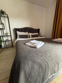 Sfara Residence Apartament 2 - Baia Mare - 3