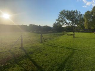 Soetvlei Tented Camp - Magaliesburg - 8