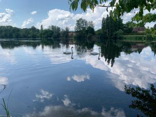 Riverside Retreat - Badefols-sur-Dordogne - 8