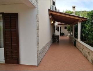 Apartmani Vinka Plenković - Stari Grad - 8