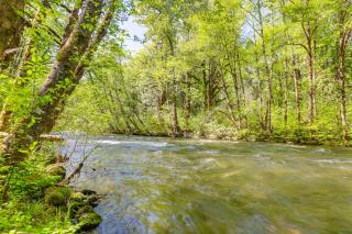 Nature-Packed McKenzie River Retreat with Trails! - McKenzie Bridge - 8