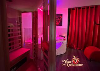 Nuit Défendue Jacuzzi-Sauna BY PRIMO C0NCIERGERIE - Tournus - 2