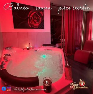 Nuit Défendue Jacuzzi-Sauna BY PRIMO C0NCIERGERIE - Tournus - 0