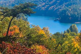 Light's Mountain Lake Overlook - Blue Ridge - 8