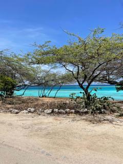 Chez Lilly - Oranjestad - 5