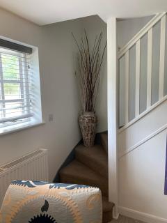 Dog Friendly Guesthouse - Sidbury - 4