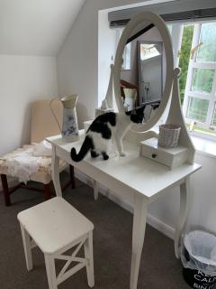 Dog Friendly Guesthouse - Sidbury - 6