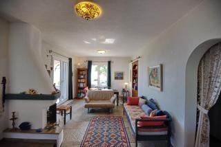 Villa Flora Views exciting imagination, 2 Apartments - Patitiri - 8