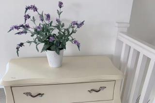 Dog Friendly Guesthouse - Sidbury - 7